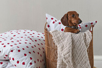 Hem & design