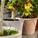 City Gardening Semesterbevattning