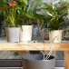 City Gardening Semesterbevattning