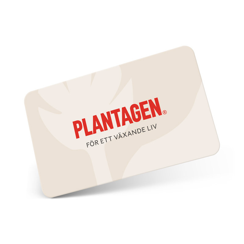 Plantagen, Presentkort 36084-36097 | OKQ8 Klipp