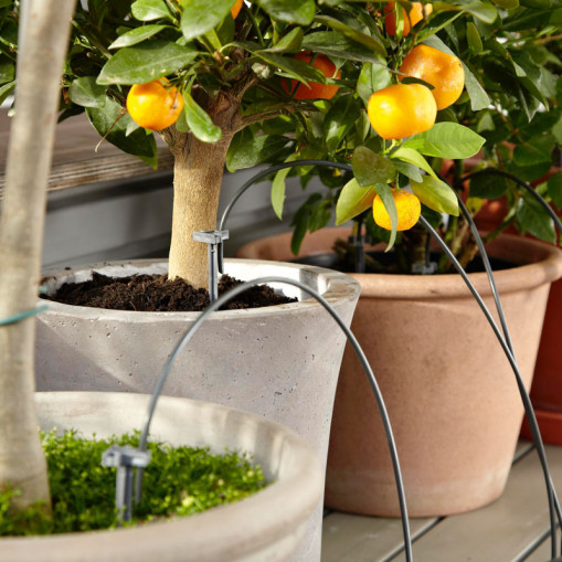 City Gardening Semesterbevattning